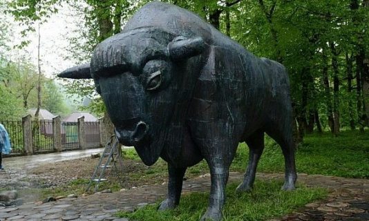 В горах Сочи установили памятник зубру