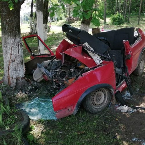 В Ленобласти иномарка врезалась в дерево – водитель погиб