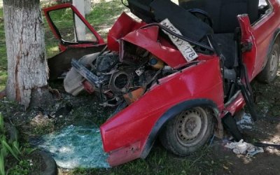В Ленобласти иномарка врезалась в дерево – водитель погиб